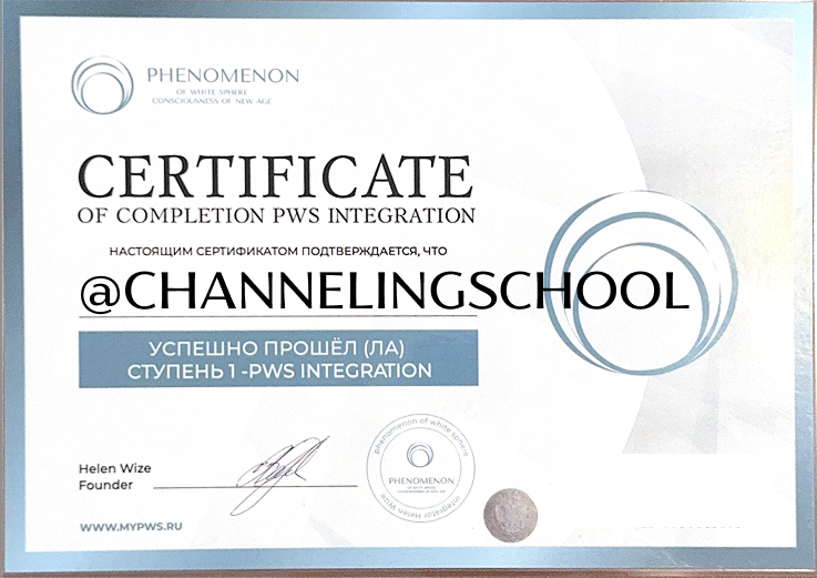 Диплом интегратора PWS